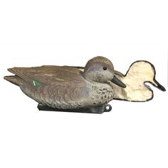 APPELANT SARCELLE FEMELLE MOUSSE