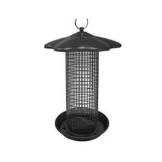 MANGEOIRE APERO ARACHIDES