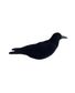 APPELANT CORBEAU FLOQUE GIROUETTE
