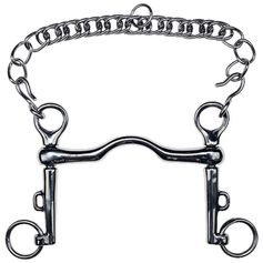 SAUMUR POMPE INOX PASSE LANGUE