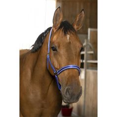 LICOL REFLECTIVE PONEY