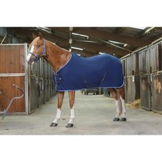 CHEMISE POLAIRE MARINE