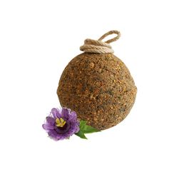 COMPLEMENT MINERAL A LECHER PREQUALM