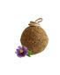 COMPLEMENT MINERAL A LECHER PREQUALM