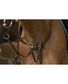 COLLIER DE CHASSE CONFORT HAVANE