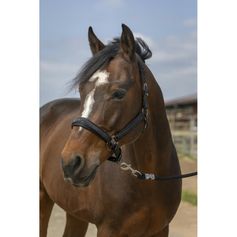 LICOL NYLON STRASS CHEVAL