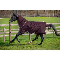 COUVERTURE EXTERIEUR AMIGO HERO+ 20