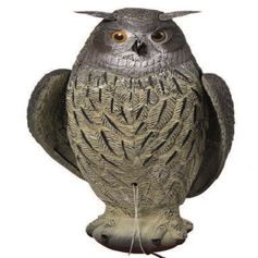 APPELANT GRAND DUC AILE BATTANTE