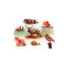 DESSOUS DE PLAT CANOPEE