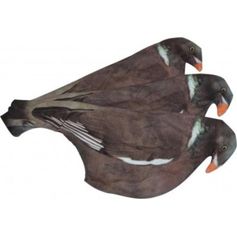 CHAUSSETTES POUR APPELANTS PIGEON X 6