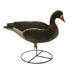 APPELANT OIE RIEUSE HD SUR PIED