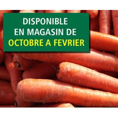 SAC DE CAROTTES 20KG