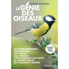 LIVRE LE GENIE DES OISEAUX