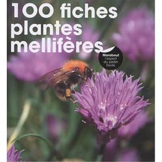 LIVRE 100 FICHES PLANTES MELLIFERE