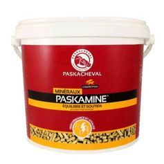 PASKAMINE MINERAUX COMPETITION
