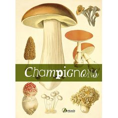 LIVRE CHAMPIGNONS