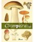 LIVRE CHAMPIGNONS