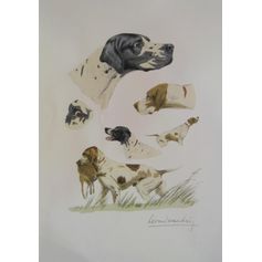 AFFICHE ETUDE DE POINTER 30X40CM