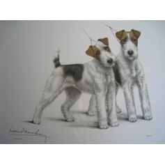 AFFICHE FOX CHIOTS 30X40CM