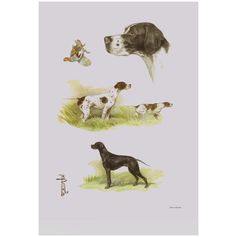 AFFICHE ETUDE POINTER 30X40CM