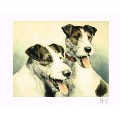 AFFICHE COUPLE DE FOX