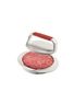 PRESSE A STEAK DIAMETRE 11CM