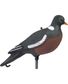 APPELANT PIGEON HD SANS PATTES