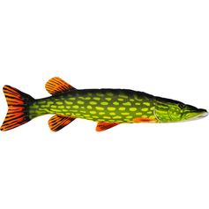 PELUCHE BROCHET 80CM