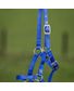 LICOL NYLON FOAL