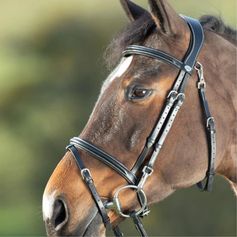 BRIDON CUIR FONCTIONAL NOIR