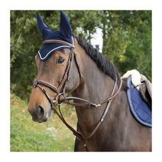 ENRENEMENT THIEDEMAN HOWLETT BRUN PONEY