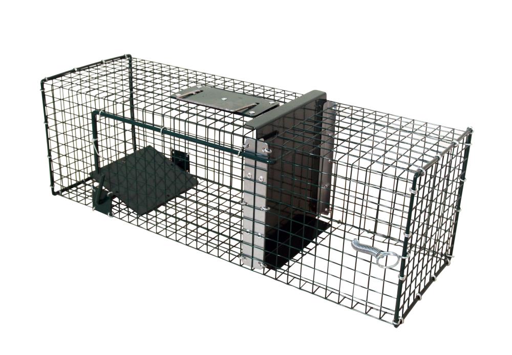 PIEGE A RAT 61X20X20