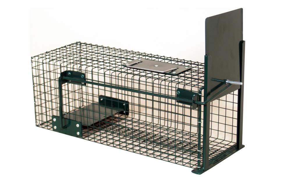 BOITE A RAT 1 ENTREE 18X18X50