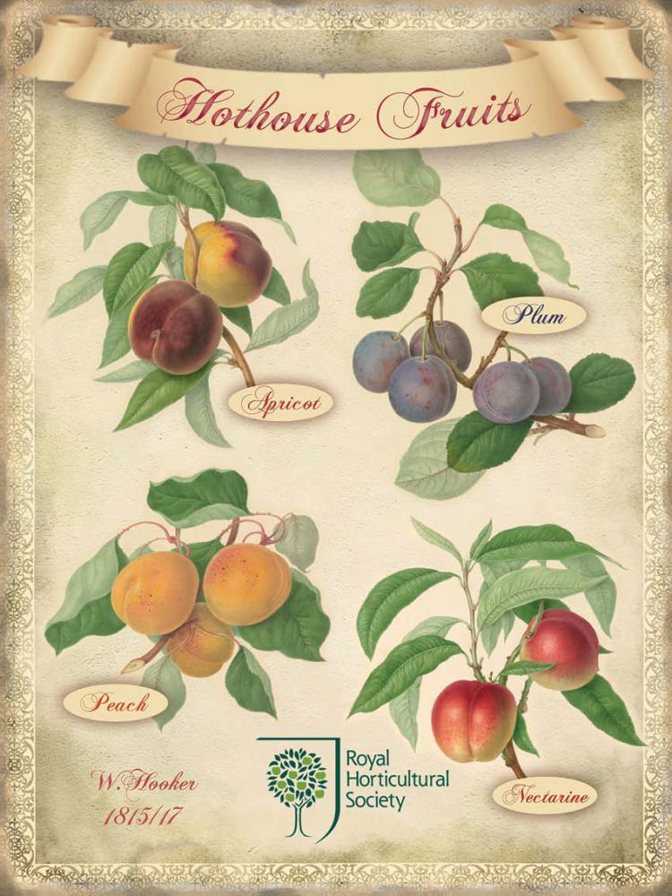 PLAQUE FRUITS GARDEN (V)