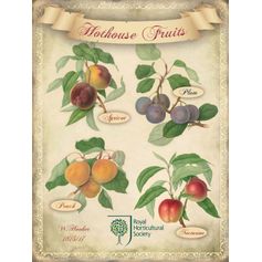 PLAQUE FRUITS GARDEN (V)