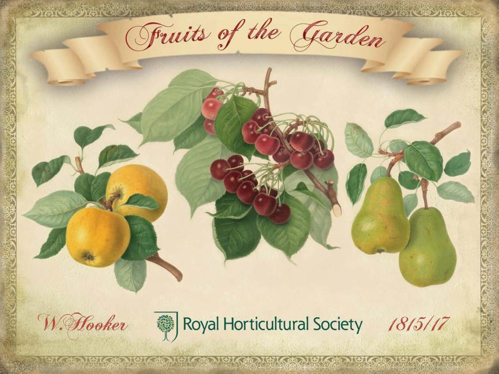 PLAQUE FRUITS GARDEN (H)