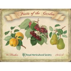 PLAQUE FRUITS GARDEN (H)