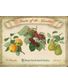 PLAQUE FRUITS GARDEN (H)