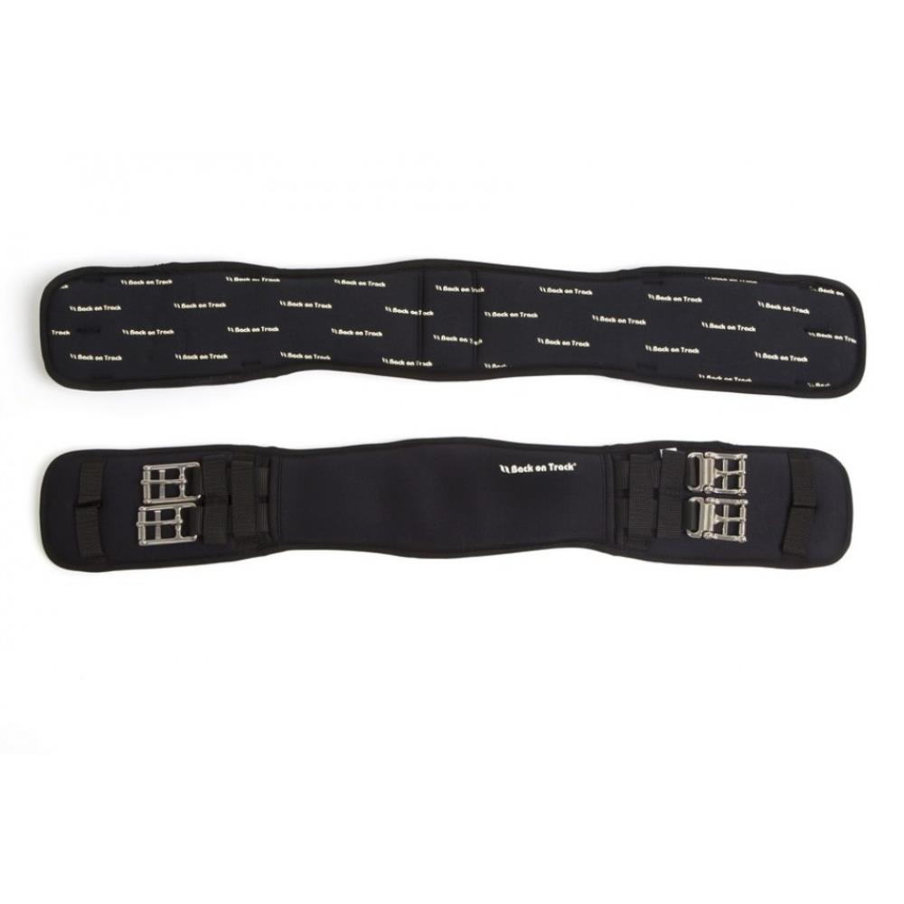 SANGLE DRESSAGE WELLTEX NOIR