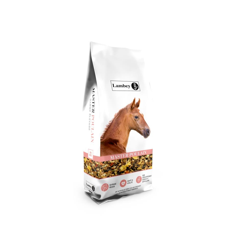 FLOCONNE MASTER POULAIN 20KG