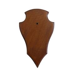 ECUSSON BOUT POINTU 22X13 MOYEN