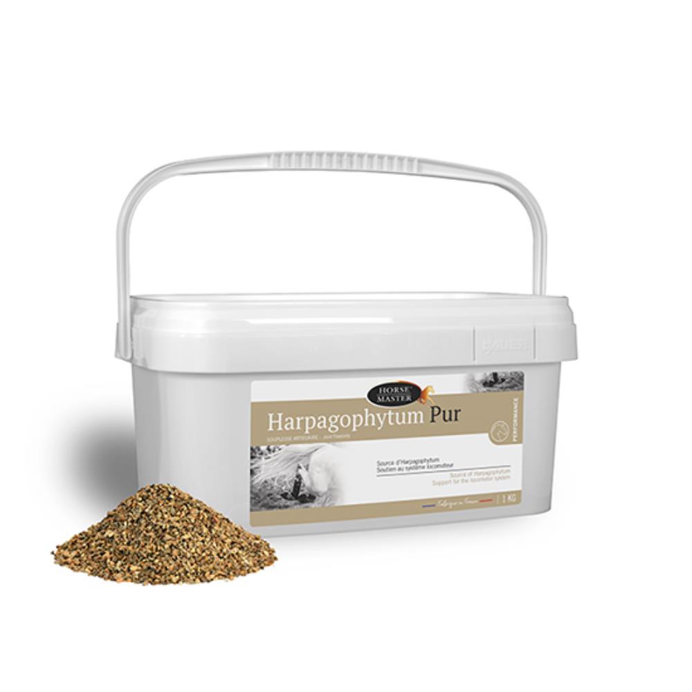 HARPAGOPHYTUM SEMOULETTE 1KG