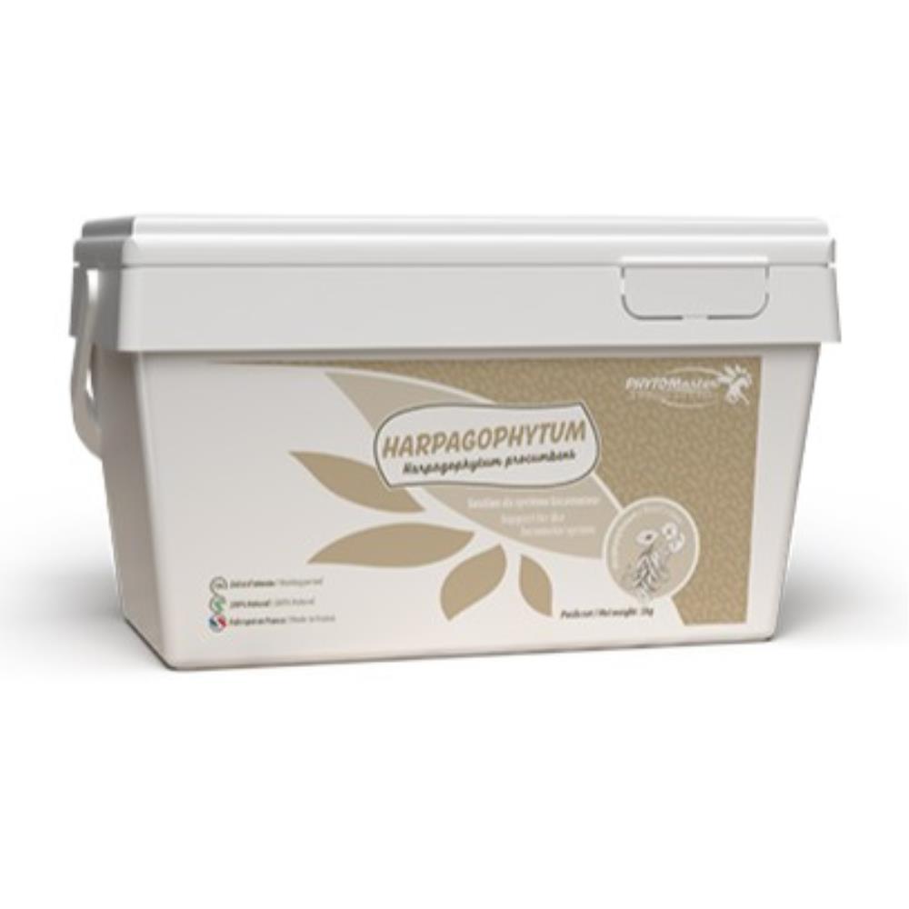 HARPAGOPHYTUM SEMOULETTE 1KG