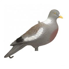 APPELANT PIGEON  SANS PATTES