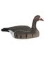 COQUILLE OIE RIEUSE HD MANGEUSE