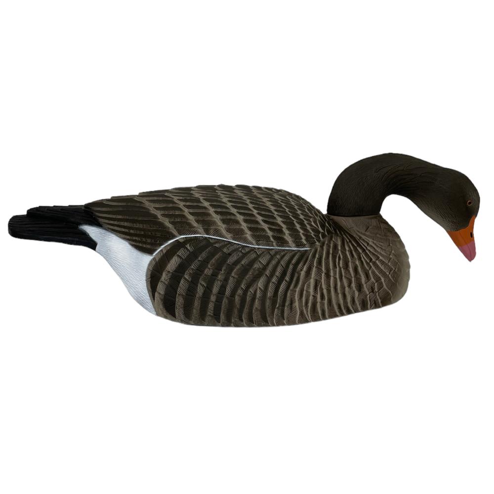 COQUILLE OIE CENDREE HD MANGEUSE