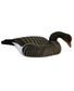 COQUILLE OIE CENDREE HD MANGEUSE