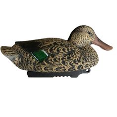 APPELANT SOUCHET FEMELLE HD