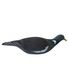APPELANT COQUILLE PIGEON ULTRA HD