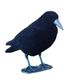 APPELANT CORBEAU FLOQUE